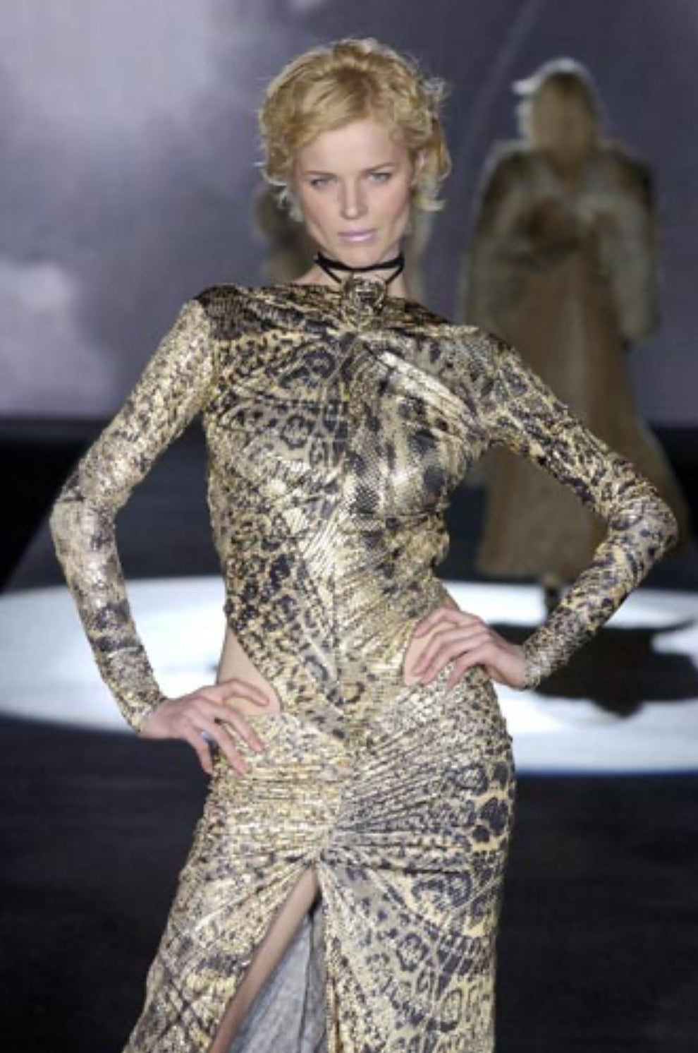 Roberto Cavalli F/W 2003 silk set