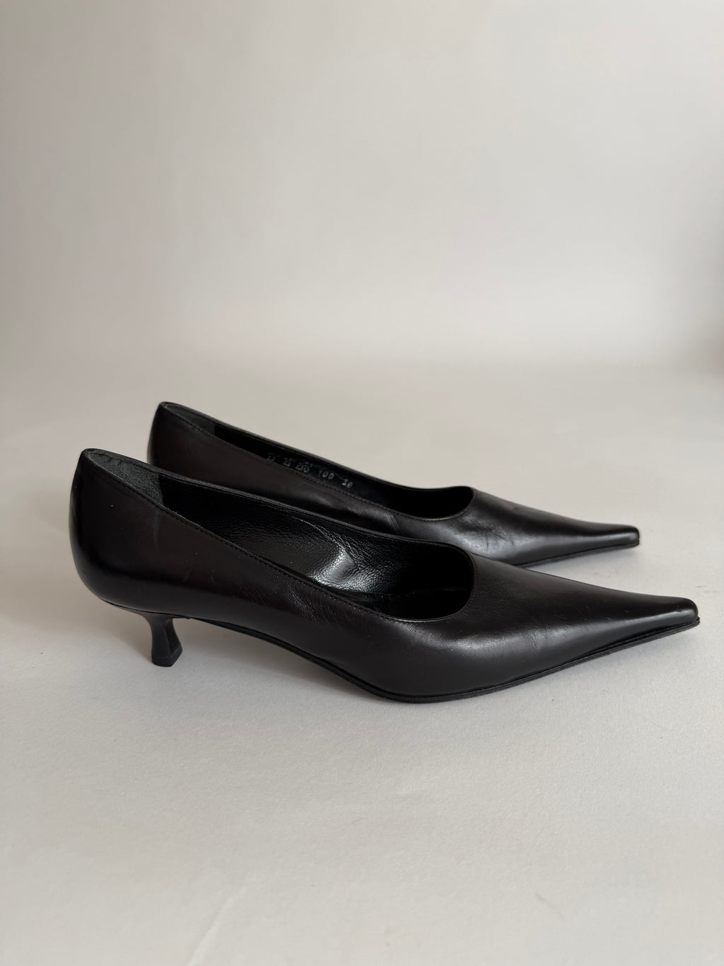 Pointed toe pumps with heel