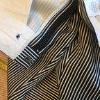 Celine stripped pants