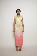 Class Cavalli 90s maxi dress