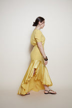Gai Mattiolo maxi silk dress