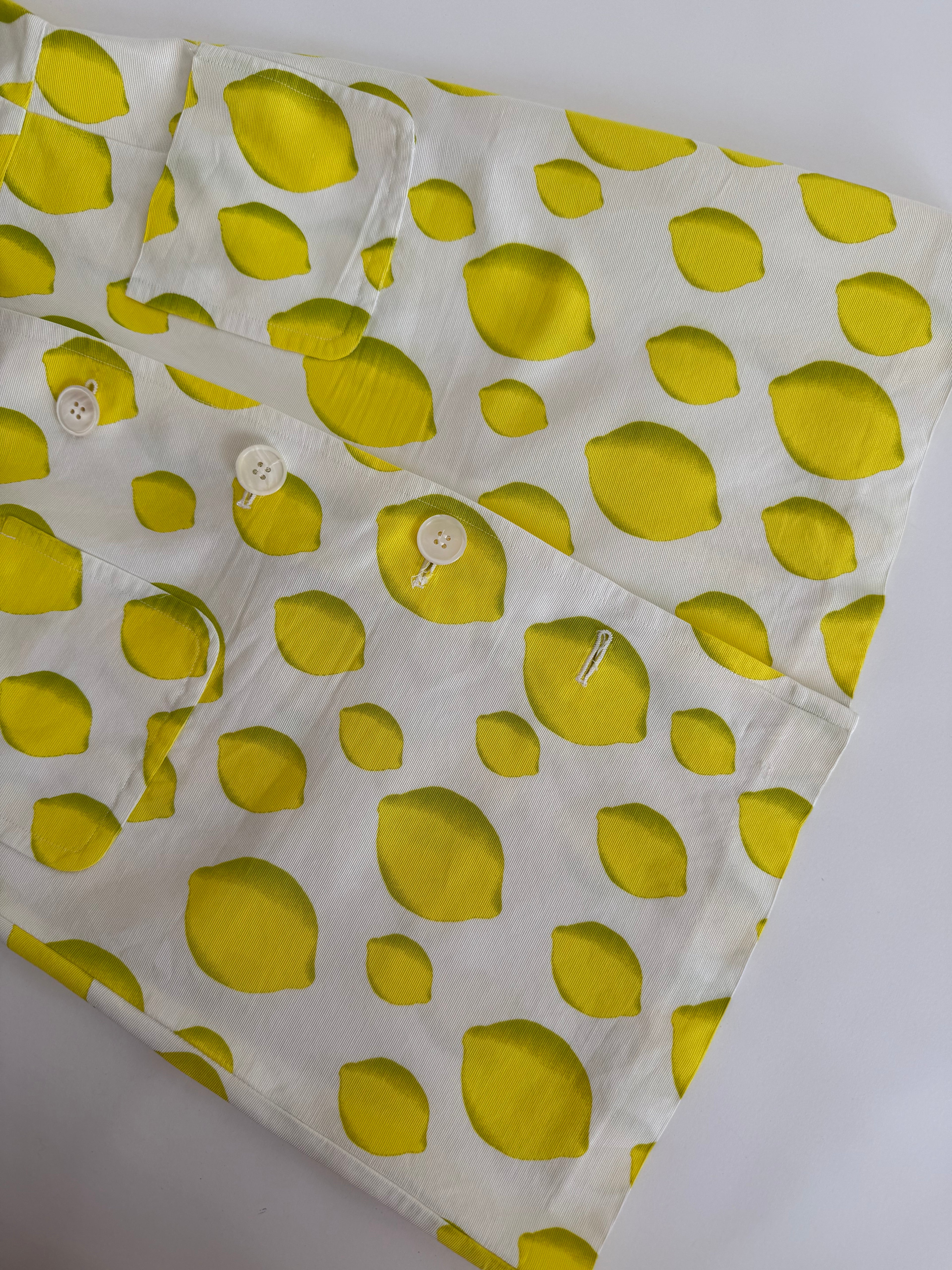 Iceberg SS 1996 Runway lemons dress