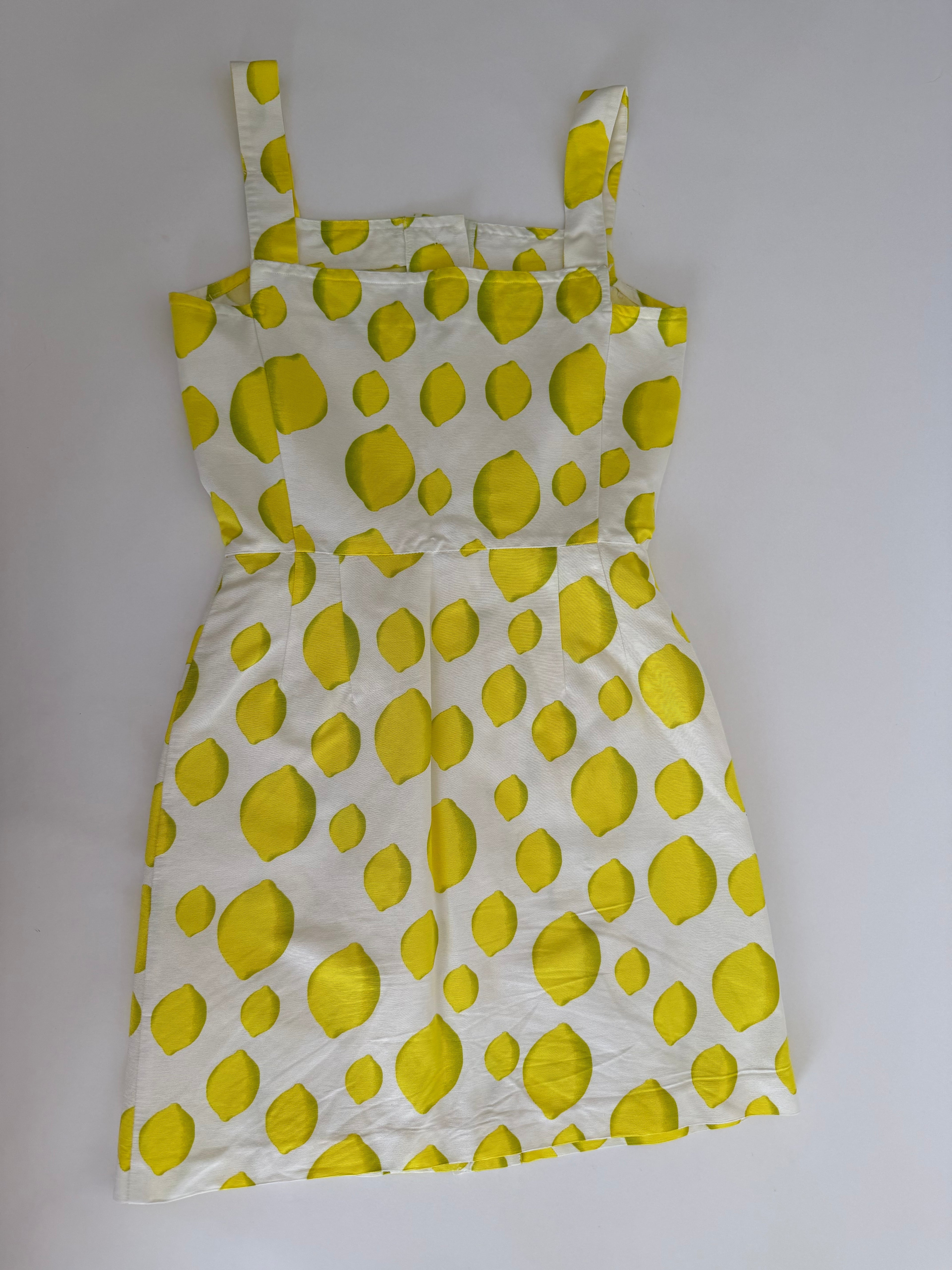 Iceberg SS 1996 Runway lemons dress