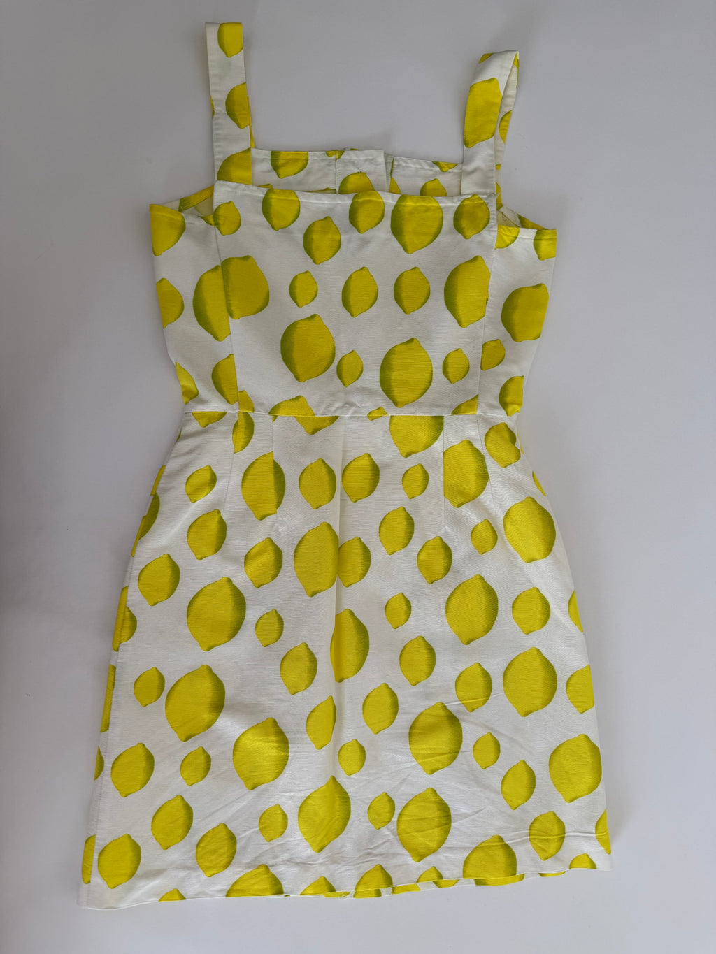 Iceberg SS 1996 Runway lemons dress