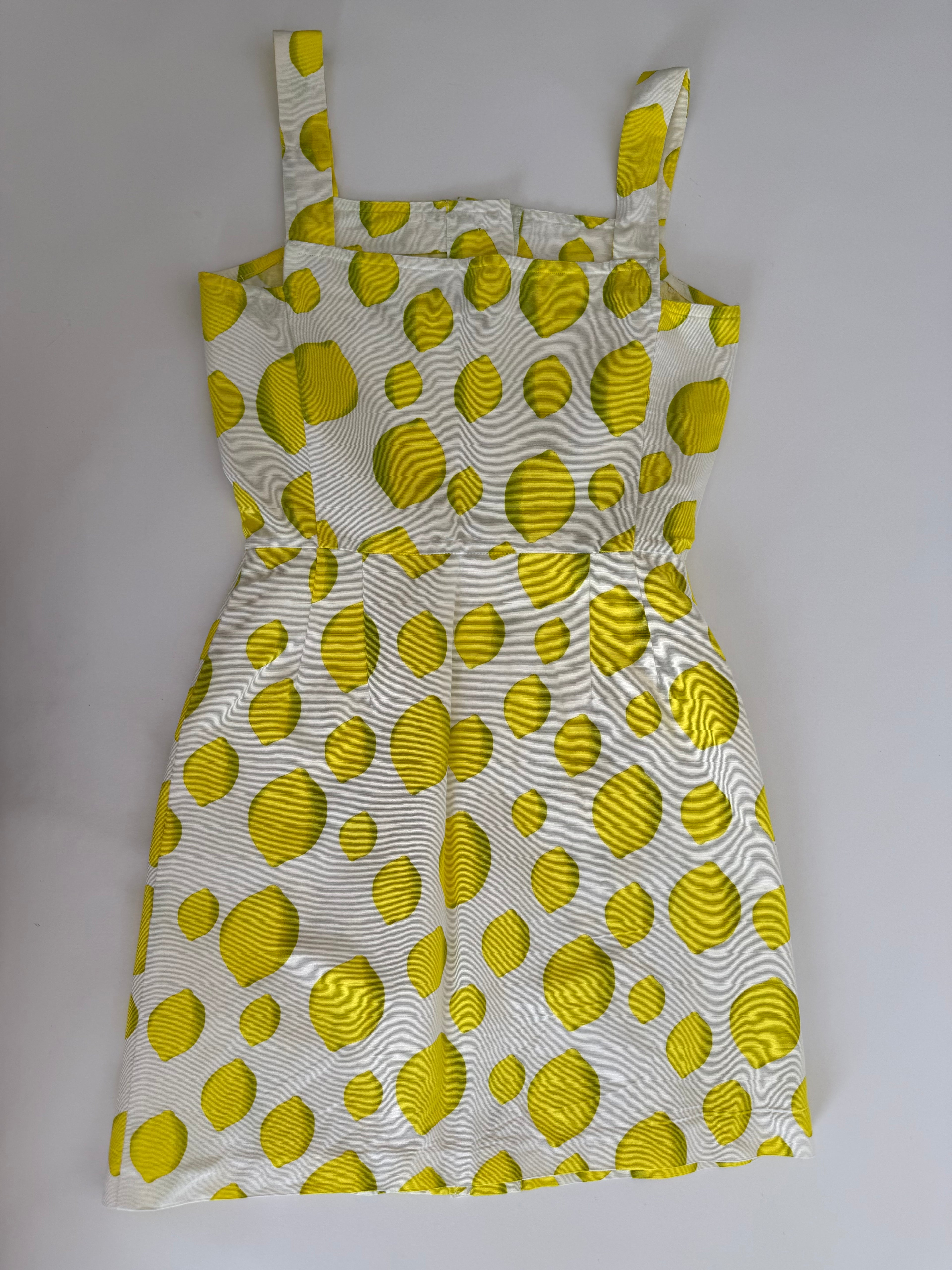 Iceberg SS 1996 Runway lemons dress