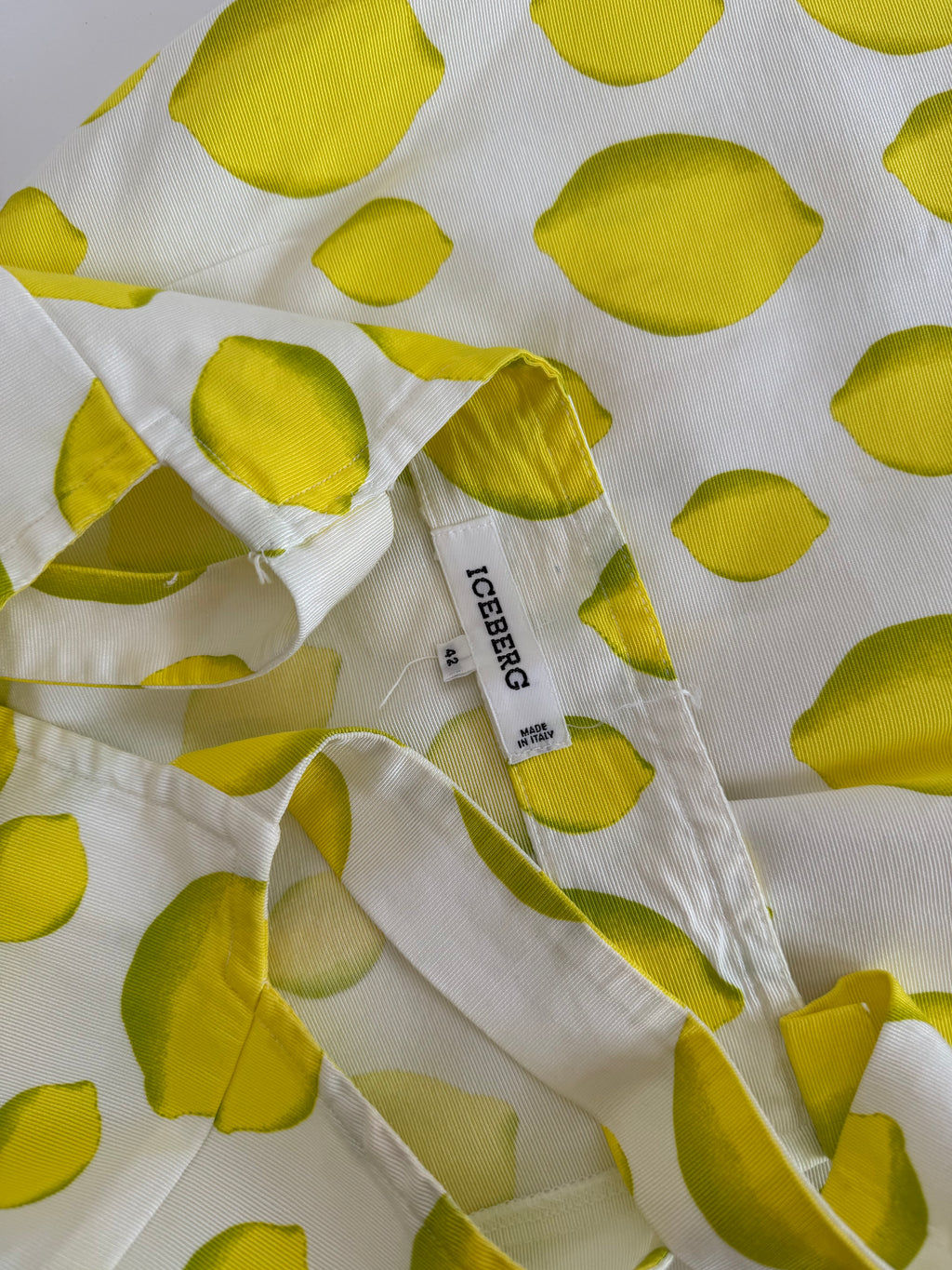 Iceberg SS 1996 Runway lemons dress