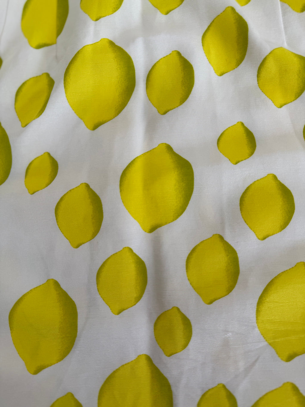 Iceberg SS 1996 Runway lemons dress