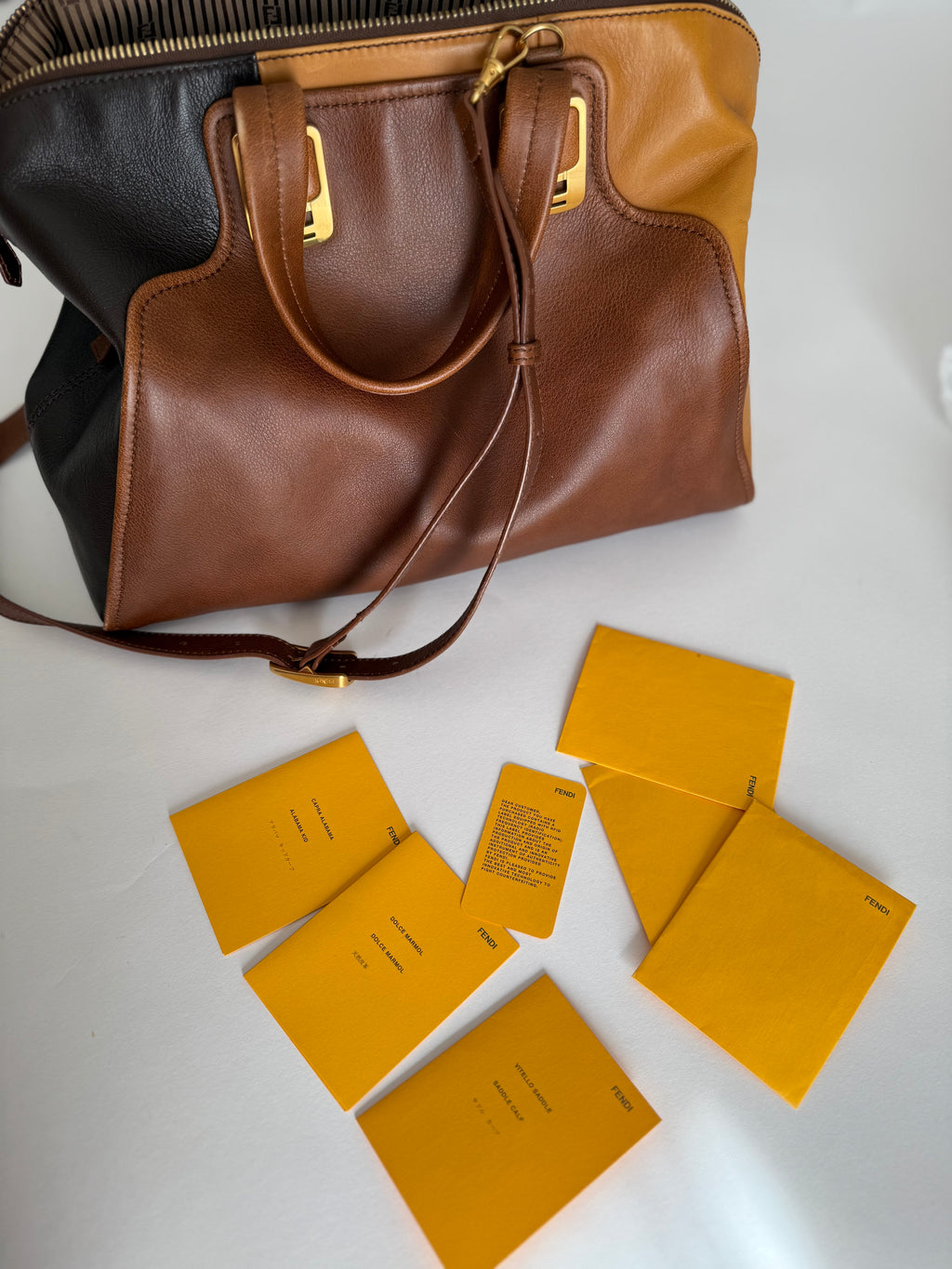 Fendi Chameleon 2012 colorblock bag