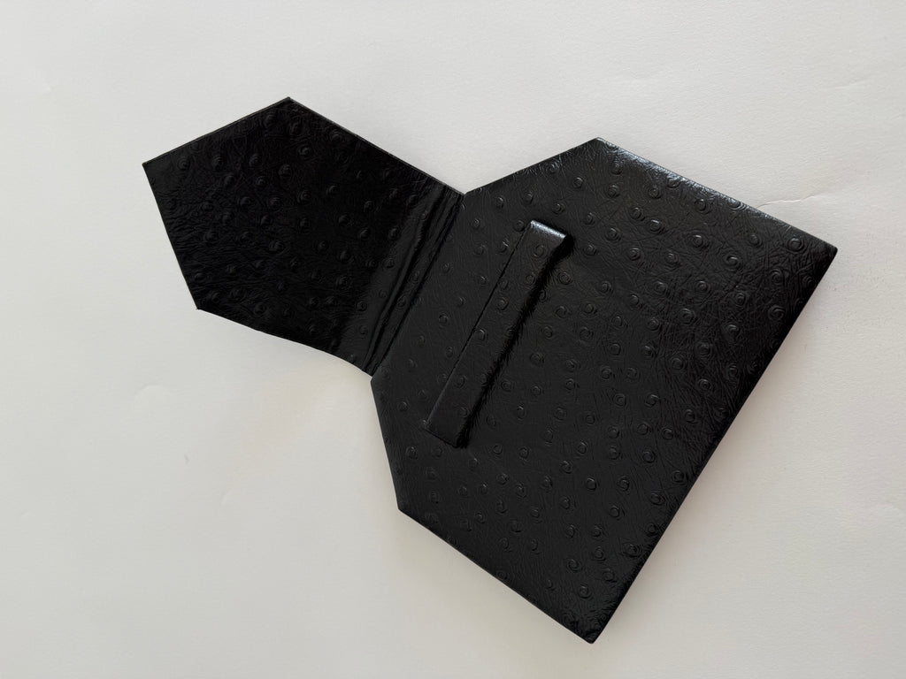 Isabelle Allard Paris pochette