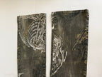 Just Cavalli FW 2003 " astrology" print denim pants jeans