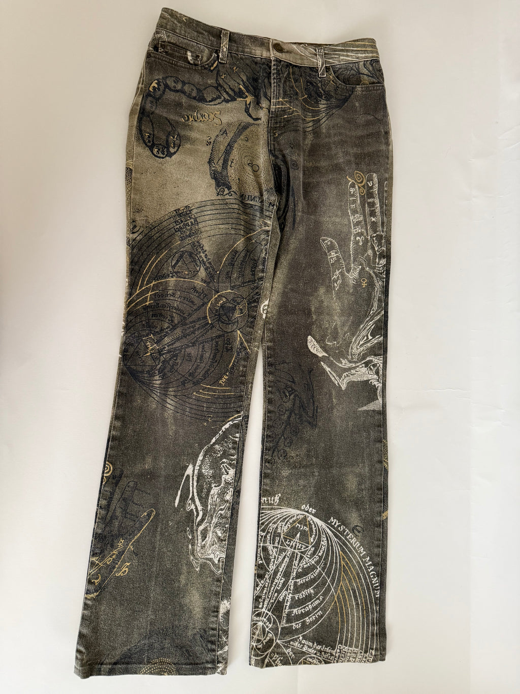 Just Cavalli FW 2003 " astrology" print denim pants jeans