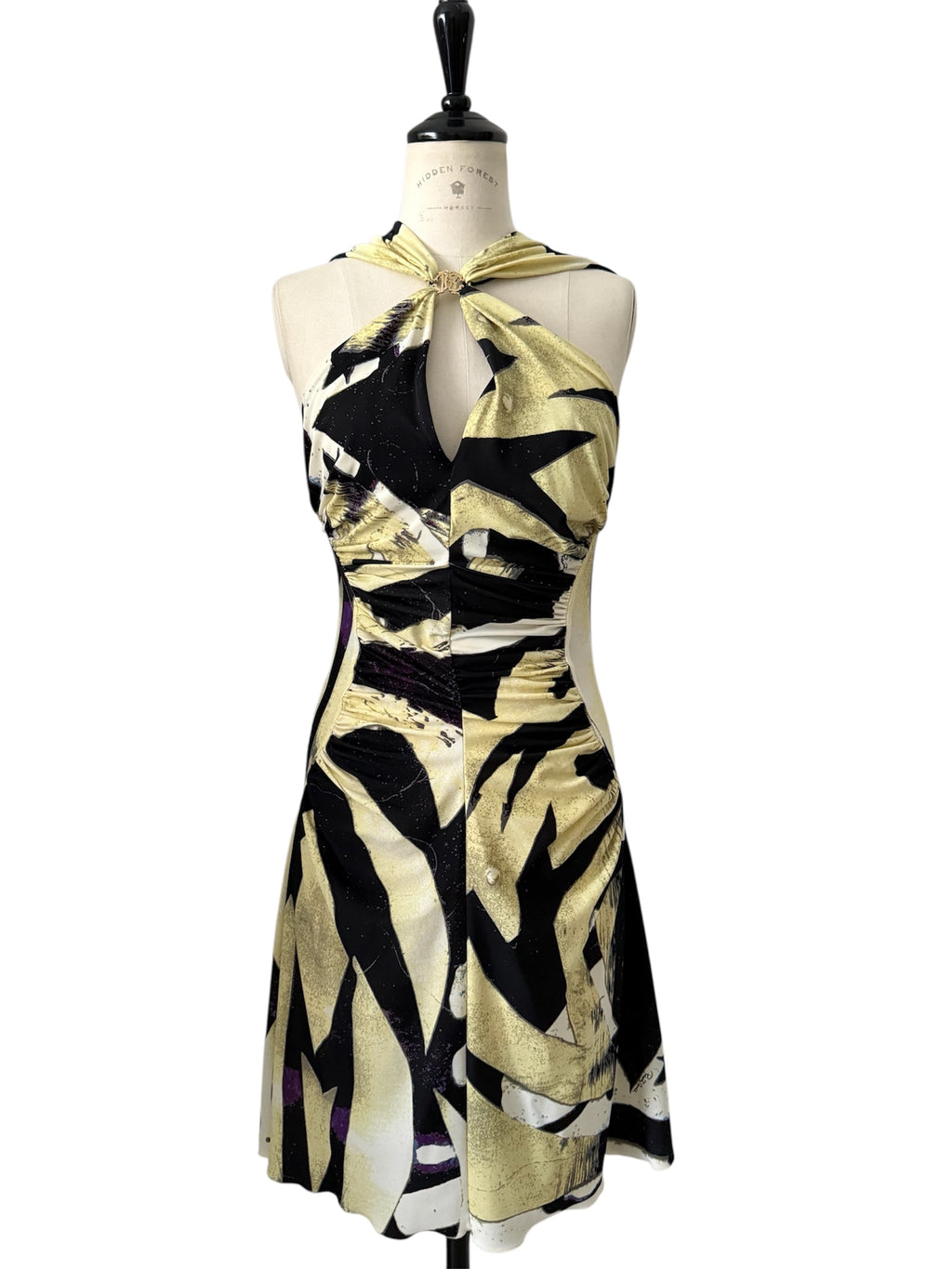 Roberto Cavalli F/W  2007 mini dress