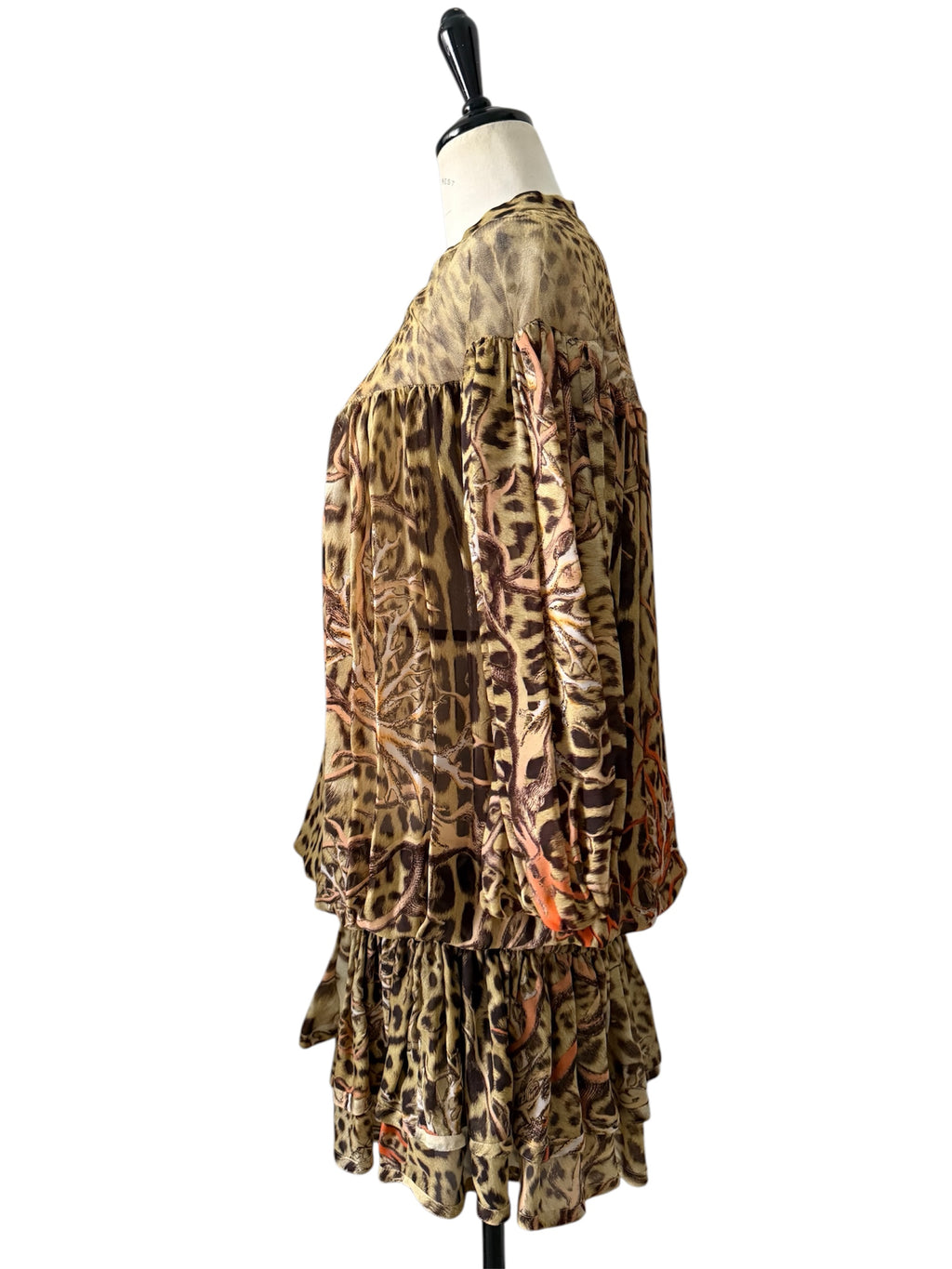 Roberto Cavalli S/S 2005 Runway dress leopard