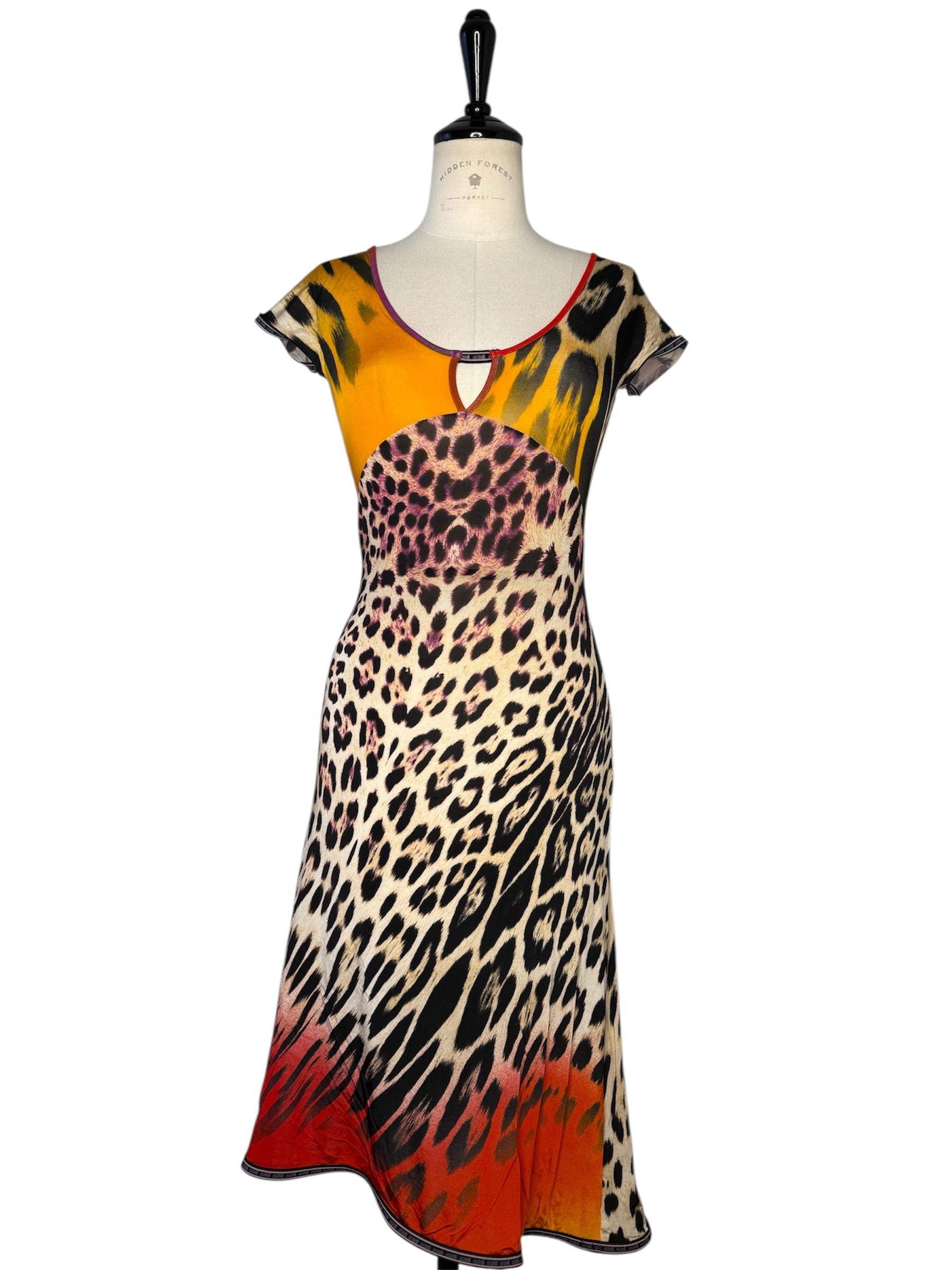 Just Cavalli 2005 colorful dress