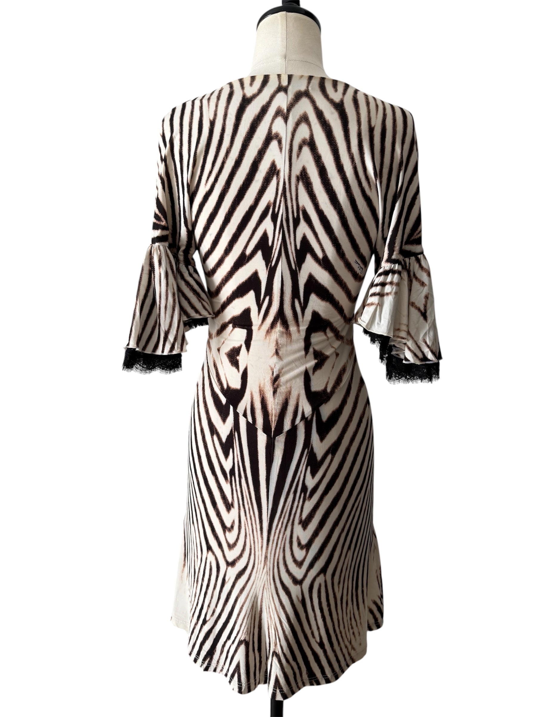 Roberto Cavalli 2007 circa zebra mini dress