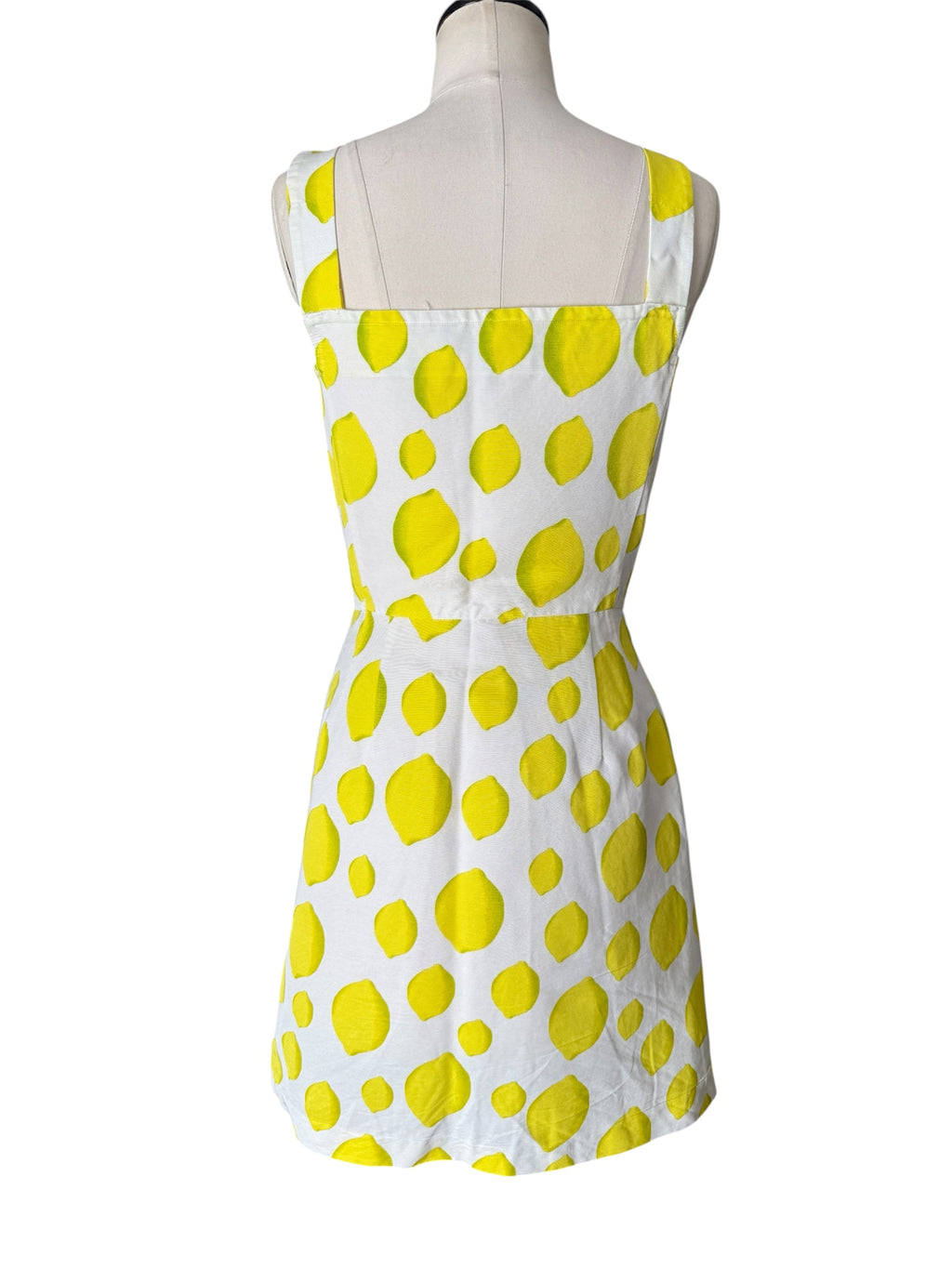Iceberg SS 1996 Runway lemons dress